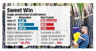 UP sees record sugar output
