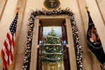 Look! The White House is all decked up for Christmas