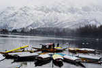 Fresh snowfall makes Kashmir valley picture perfect