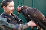 These eagles are new the guardians of the sky