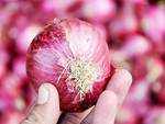 Feeling stressed? The prebiotics in onions may help