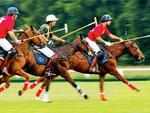 On the grape vine: When this polo pundit slowed his team down