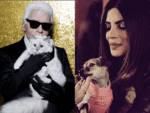 From Choupette Lagerfeld to Diana Chopra, meet social media's biggest four-legged stars