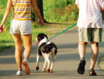 Enjoy long walks? It will not just keep you fit, but is also the most effective anti-depressant