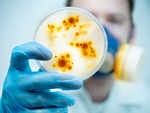 New way to fight harmful bacteria found, says new study