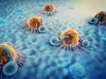 Researchers identify antibody that can help fight cancer cells