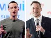 Elon Musk says Mark Zuckerberg has 'limited understanding' of AI