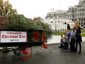 Michelle Obama welcomes her last Christmas tree