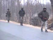 Encounter between terrorists, security forces: Handwara