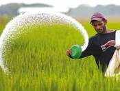 Fertiliser cos likely to get subsidy by Nov: Khare