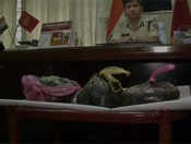 Siliguri: SSB seizes opium worth over Rs 2 crore