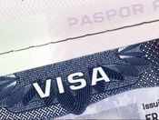 Indian firms got fewer H-1B visas in 2016: Report