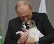 When Puting got a pup as his birthday gift When Puting got a pup as his birthday gift