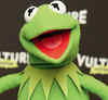 Why the Evil Kermit is making headlines