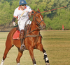 How a Gujarati businessman is trying to take Polo to the masses