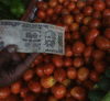 Why prices of tomatoes surged and why we are shedding onion tears