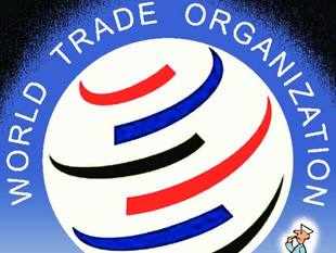 Working party report china wto membership