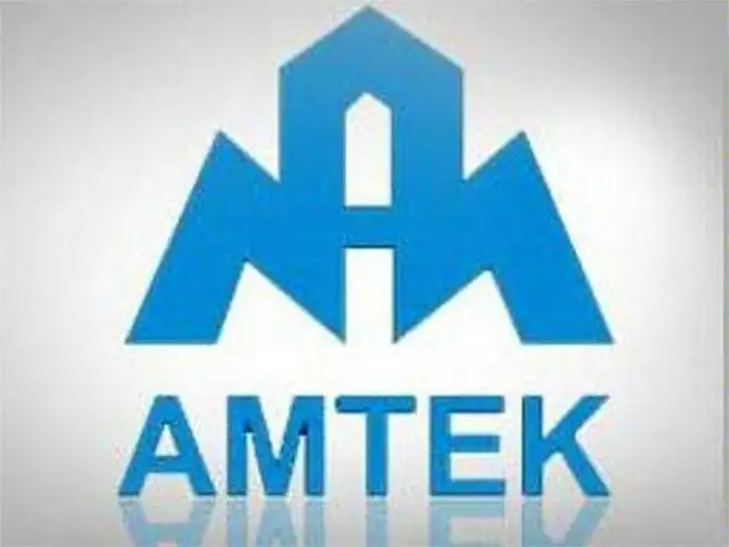 Amtek Auto: Stakeholders Empowerment Services questions loans to Amtek ...