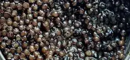 Caviar is making its way to desi dinners and shop shelves as India develops a taste for the exotic