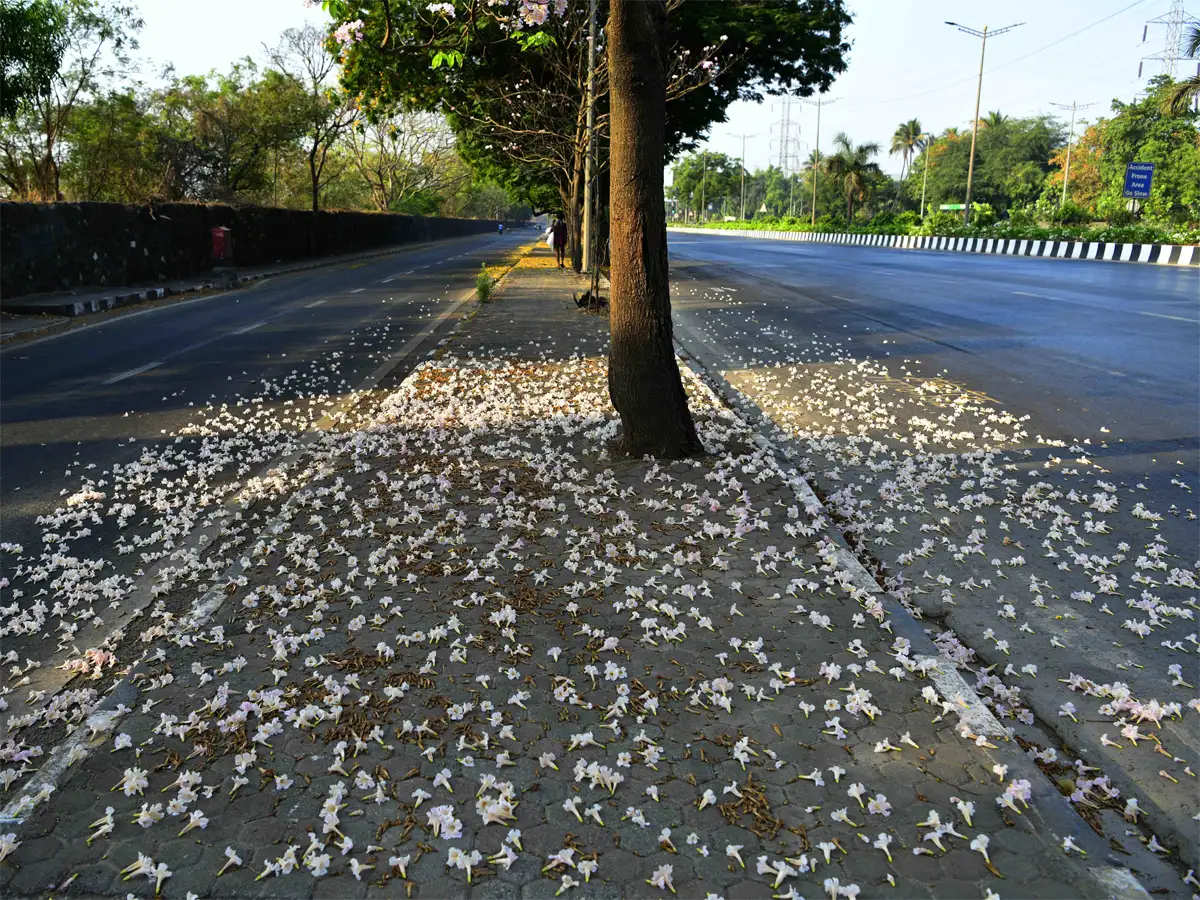 India's great comeback begins, all eyes now on two big laggards