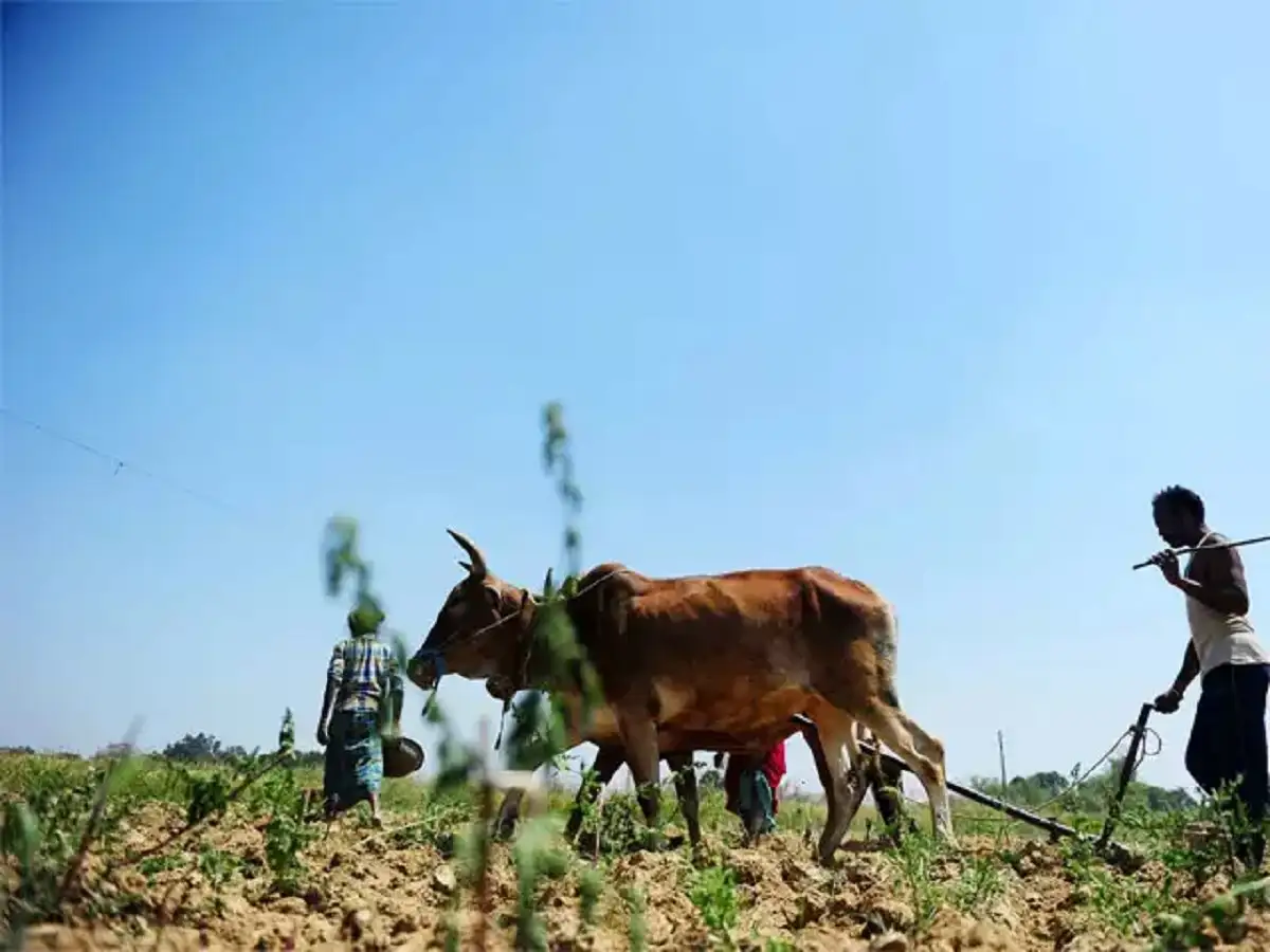 Modi's farm reforms could help turn India into a food-export powerhouse