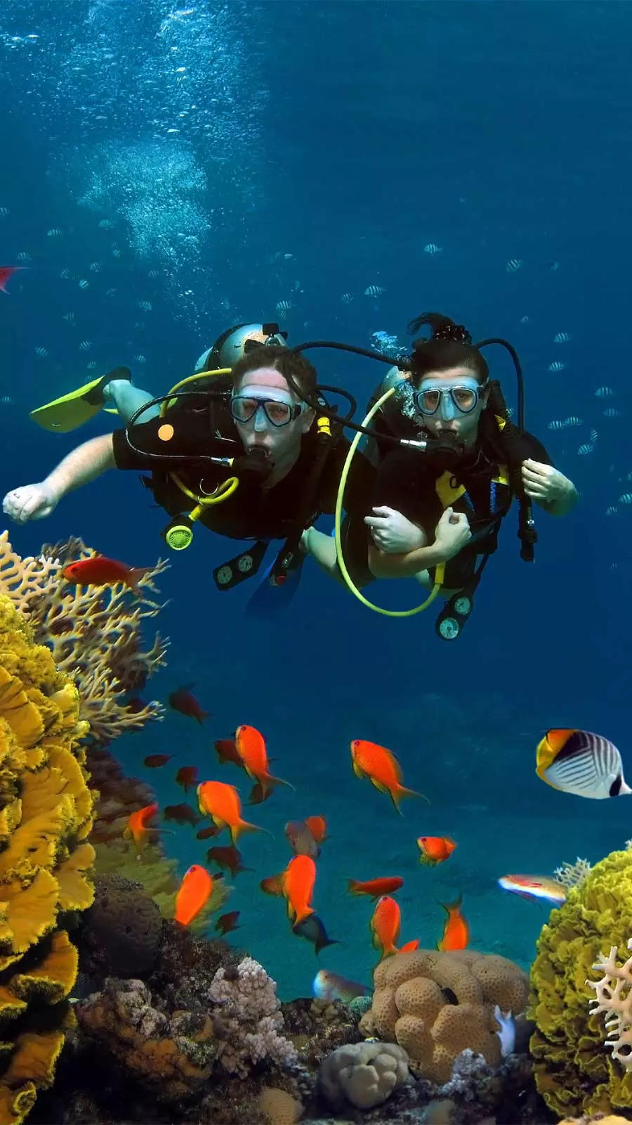 best Scuba diving in india: Scuba diving in India: Top destinations to  explore the underwater universe