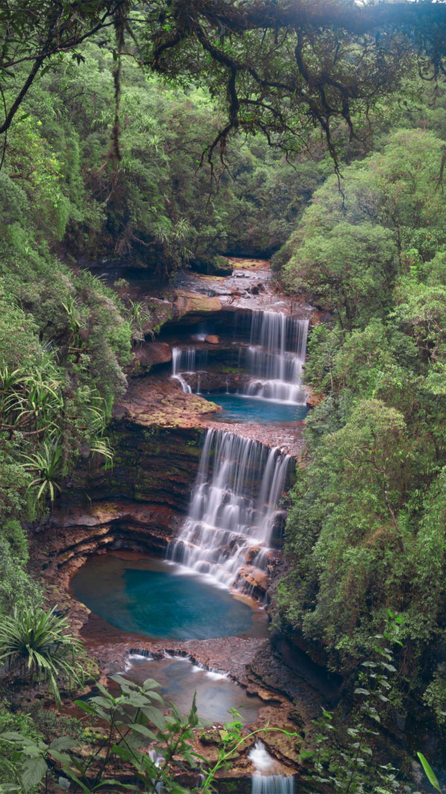 Meghalaya launches 'Travellers Nest' close to the sacred forests of the  Khasis | Travel - Hindustan Times