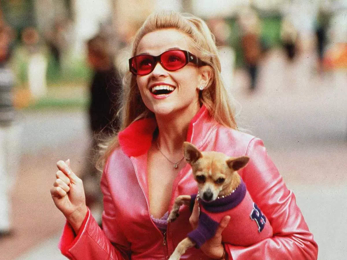 Legally Blonde 3 release: Heres everything you may want to know