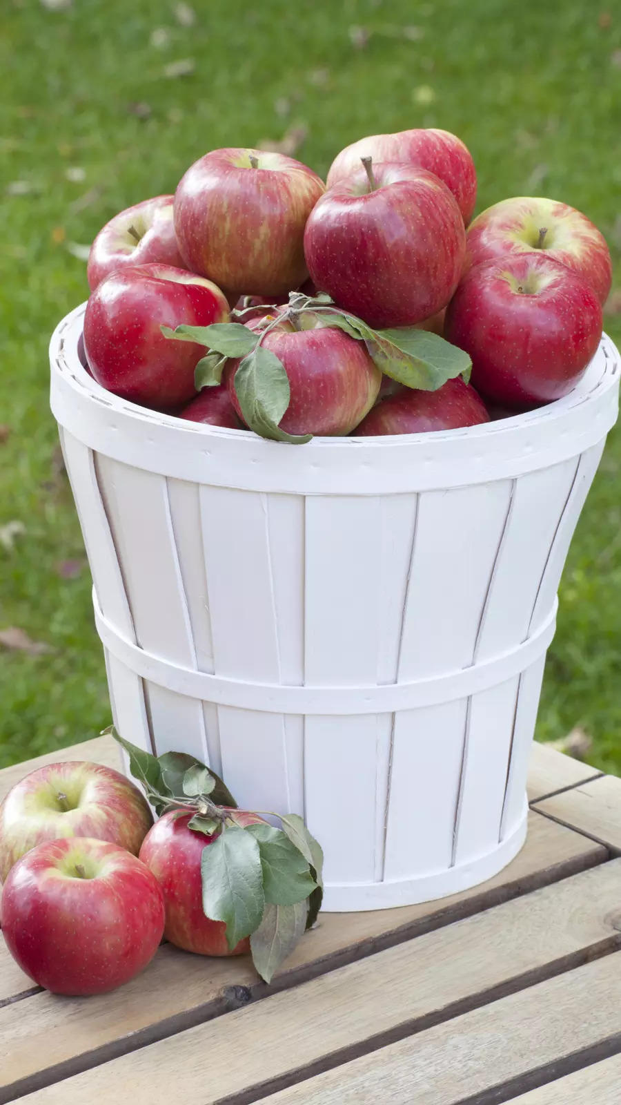 What Are the Sweetest Apples? (Ranked from Tart to Sweet)