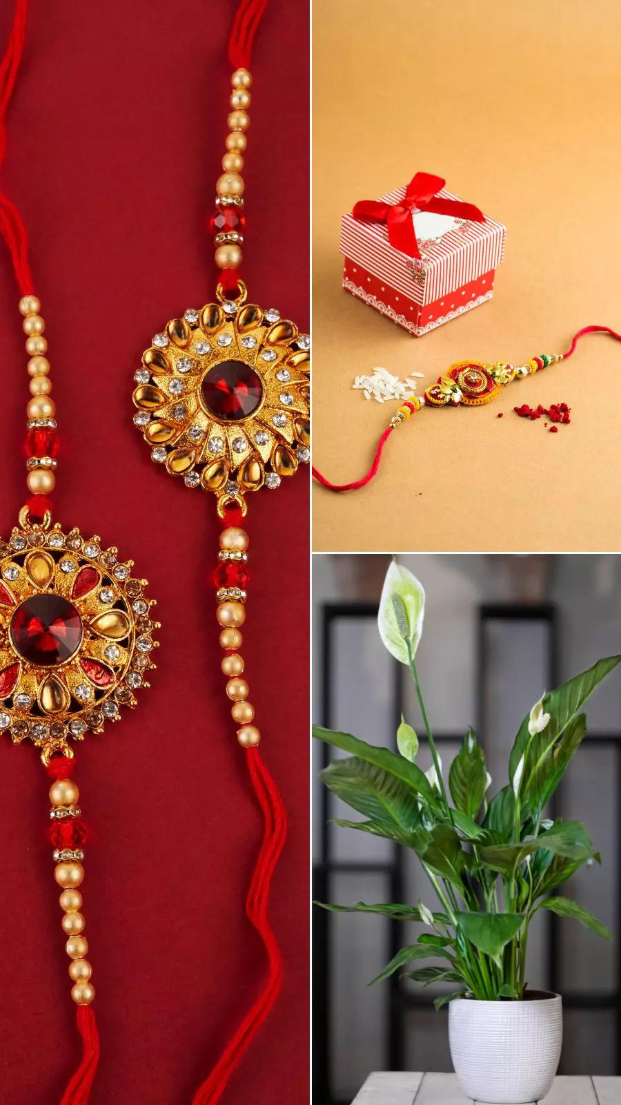 Gift Ideas Under INR 599 To Buy Online | LBB
