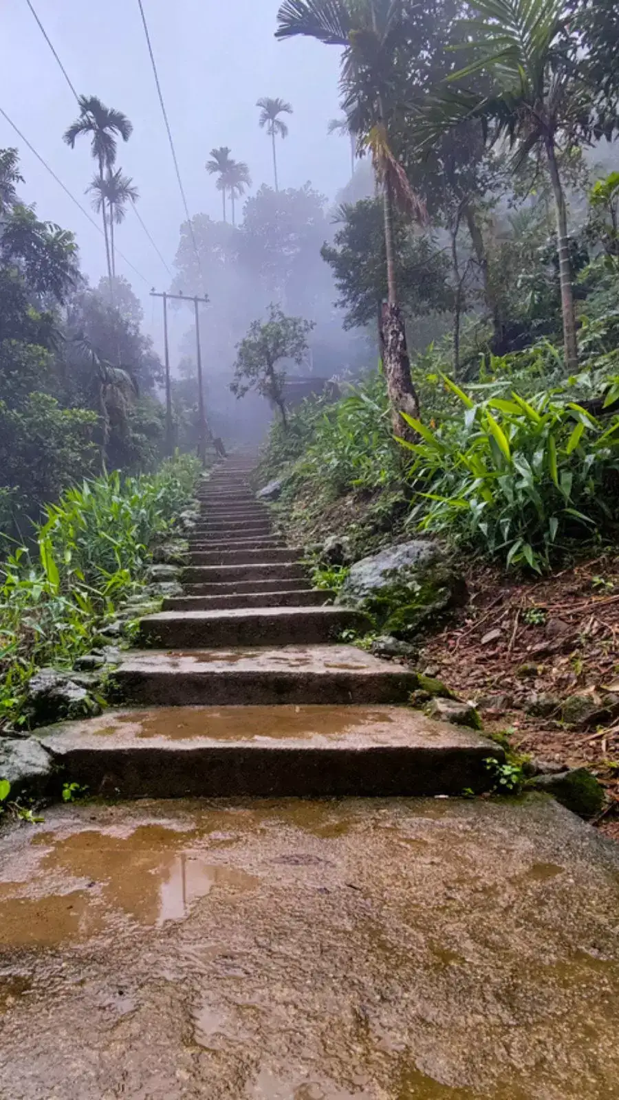 8 things to do at Cherrapunji, Meghalaya's hidden gem | EconomicTimes