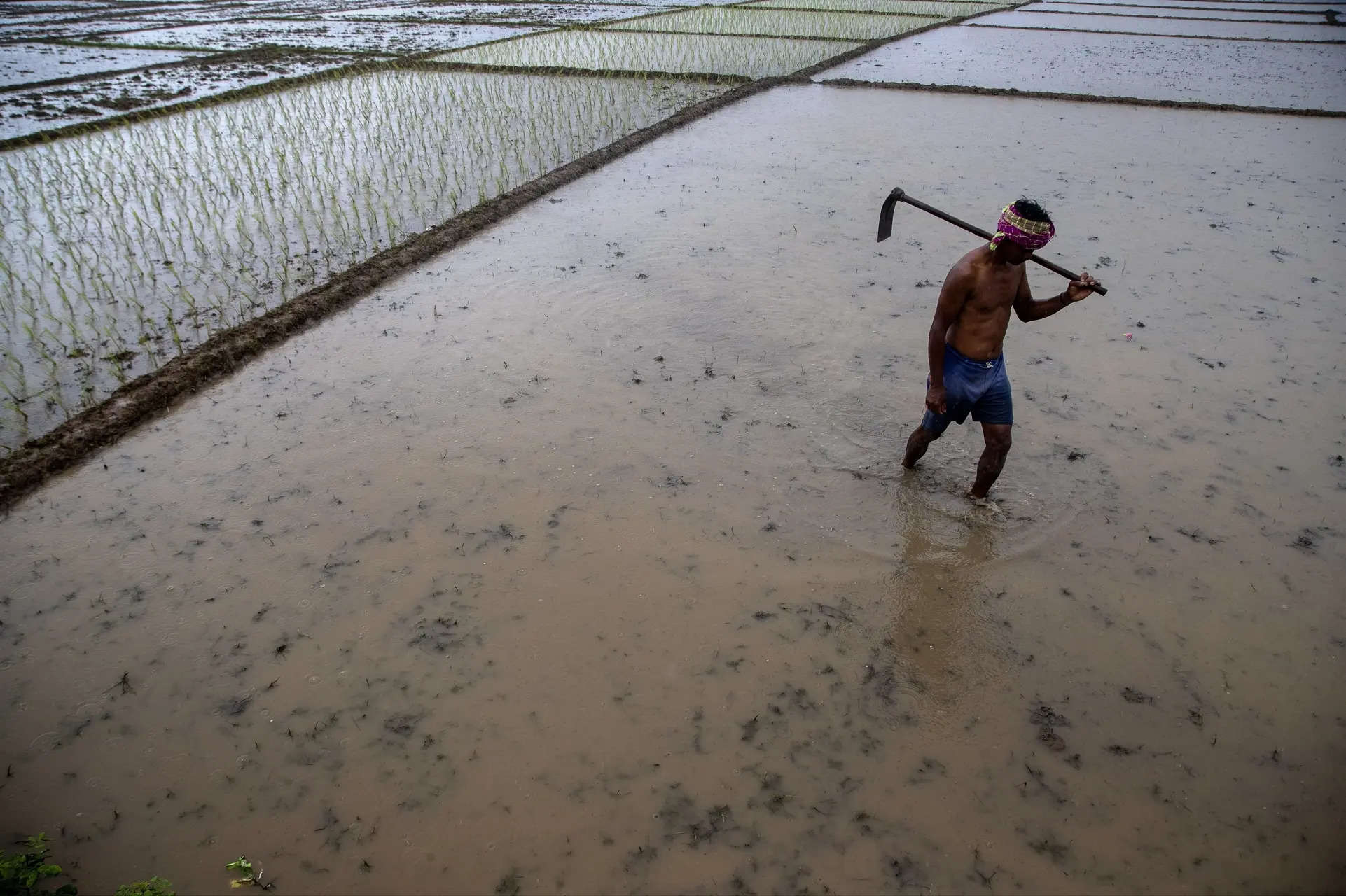 The worrying changes in India’s monsoon patterns have implications for everything from agriculture to health