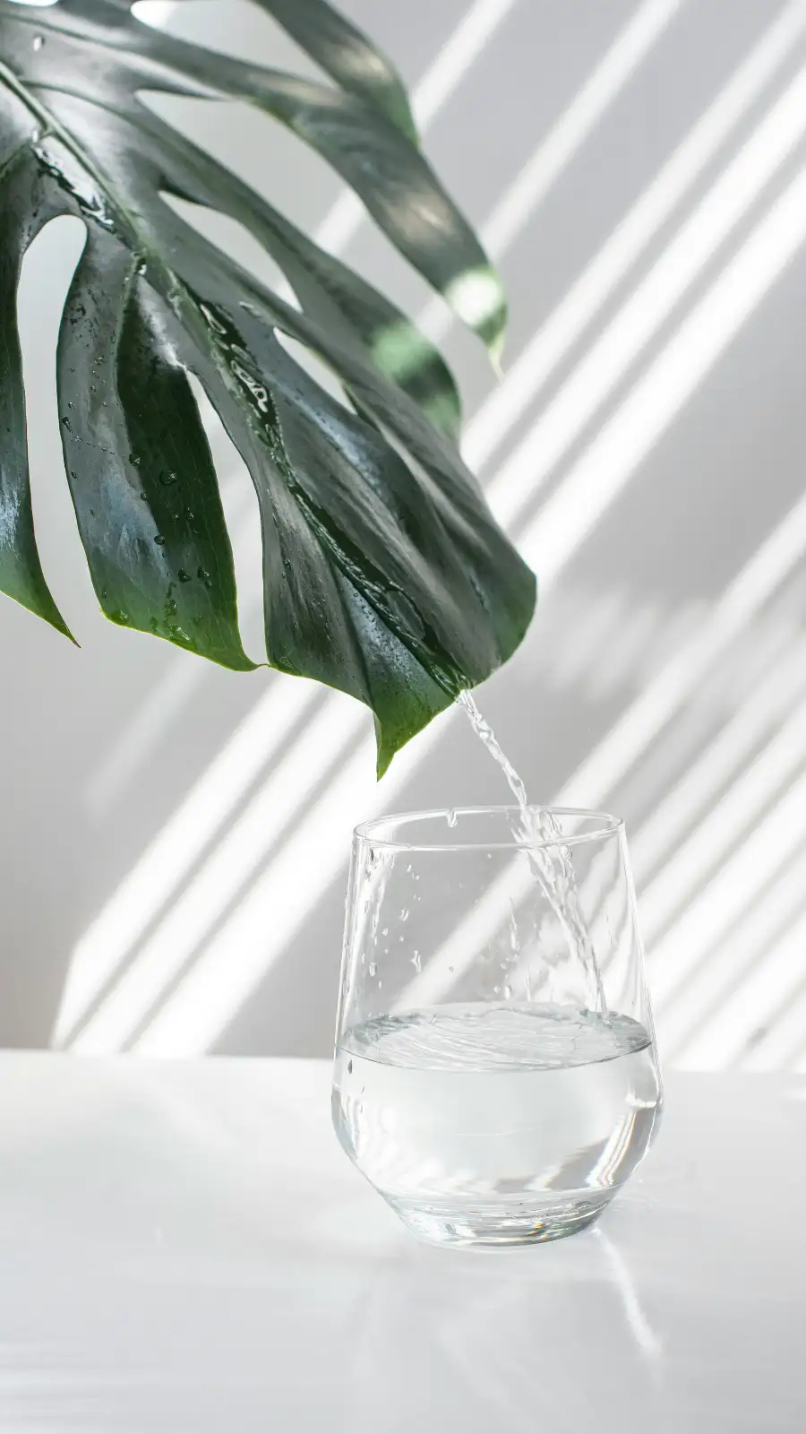 The Health Benefits of Silver: Even Celebs Drink Water in it | EconomicTimes