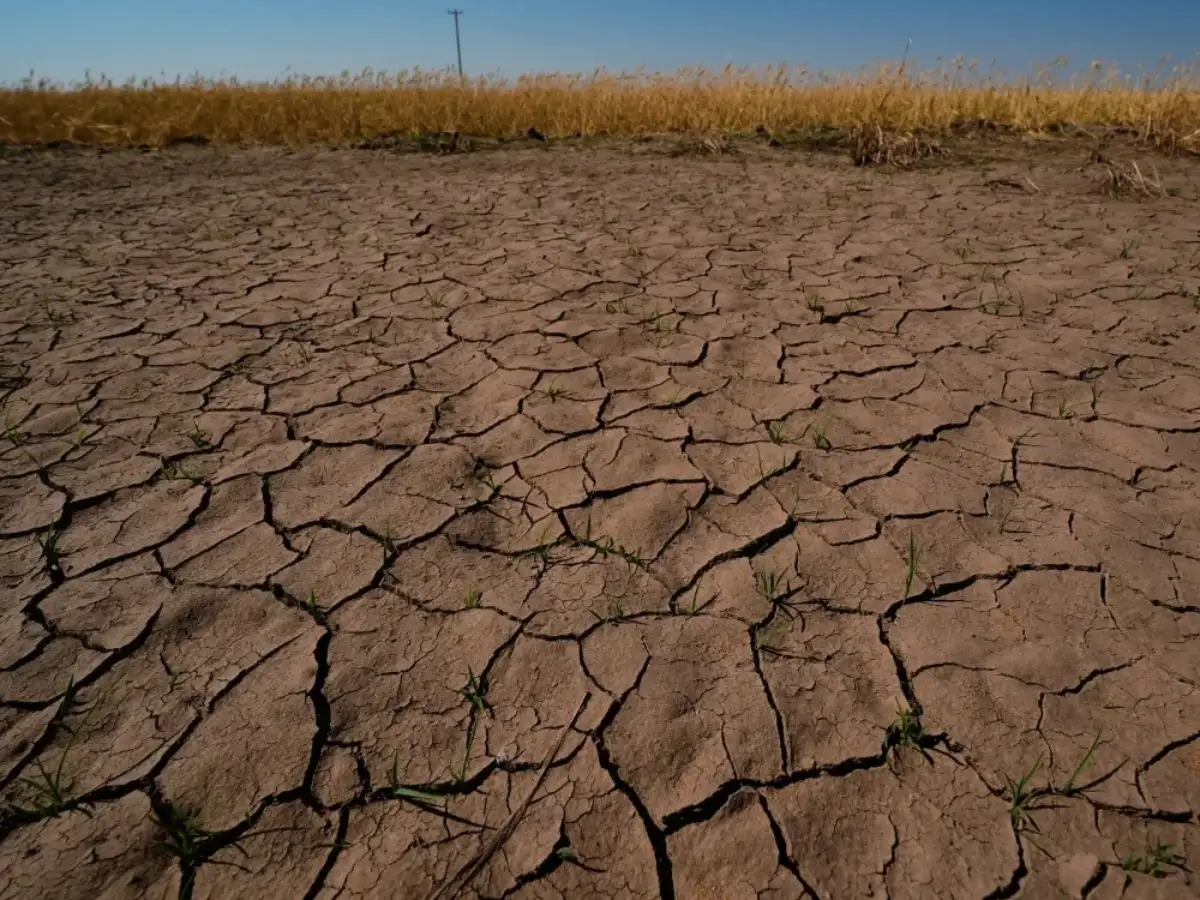 El Ni&ntilde;o drought puts India&rsquo;s crops under strain