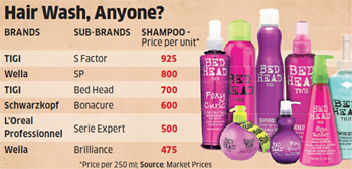 Hul To Introduce Premium Brands For Hair Styling The Economic Times
