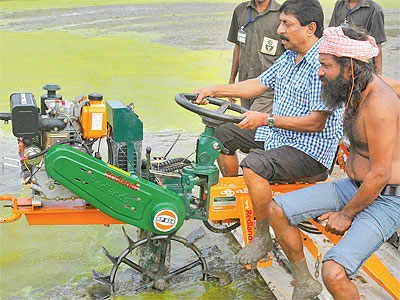 this farming unit lets you grow fish, poultry & vegetables