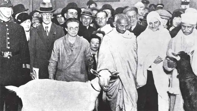 Mahatma gandhi advice on diet and exercise