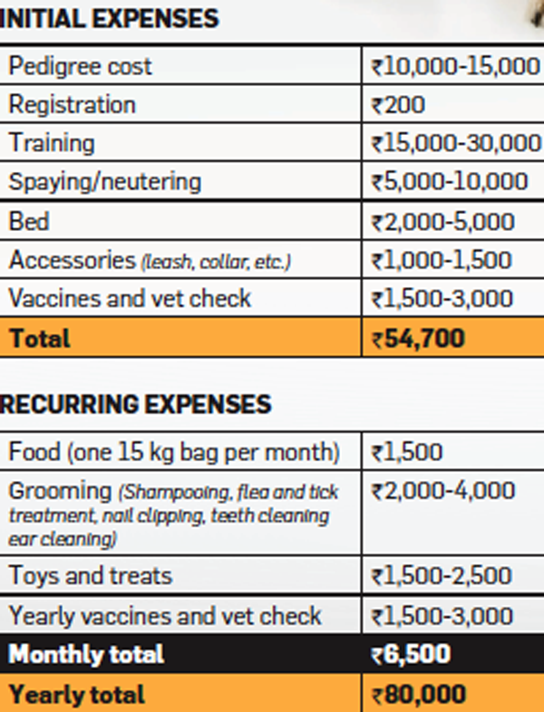 Want to know the real cost of keeping a pet? Find out. The Economic Times