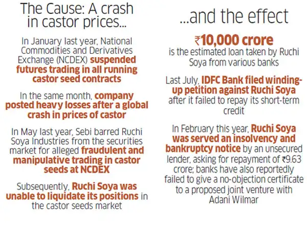 Image result for ruchi soya case stat