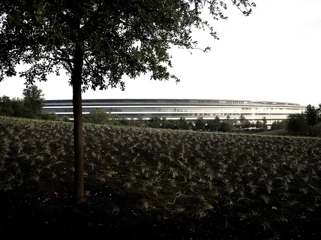 A Walk In The Park Apple S Sprawling New Spaceship Campus A Walk In The Park Apple S Sprawling New Spaceship Campus Cupertino