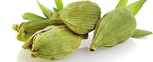 GI, look at that! A list of India's GI tagged products