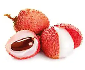 GI, look at that! A list of India's GI tagged products