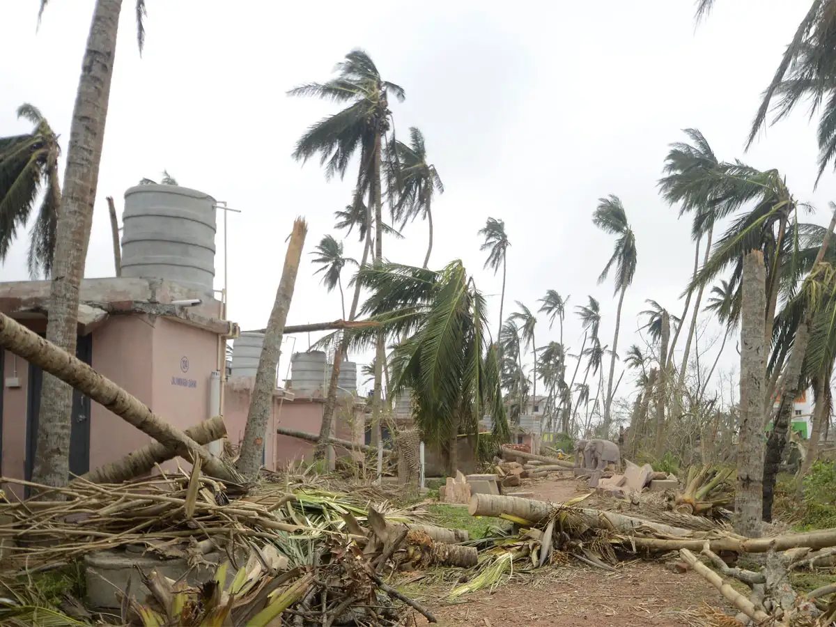 people died, over lakh hectare