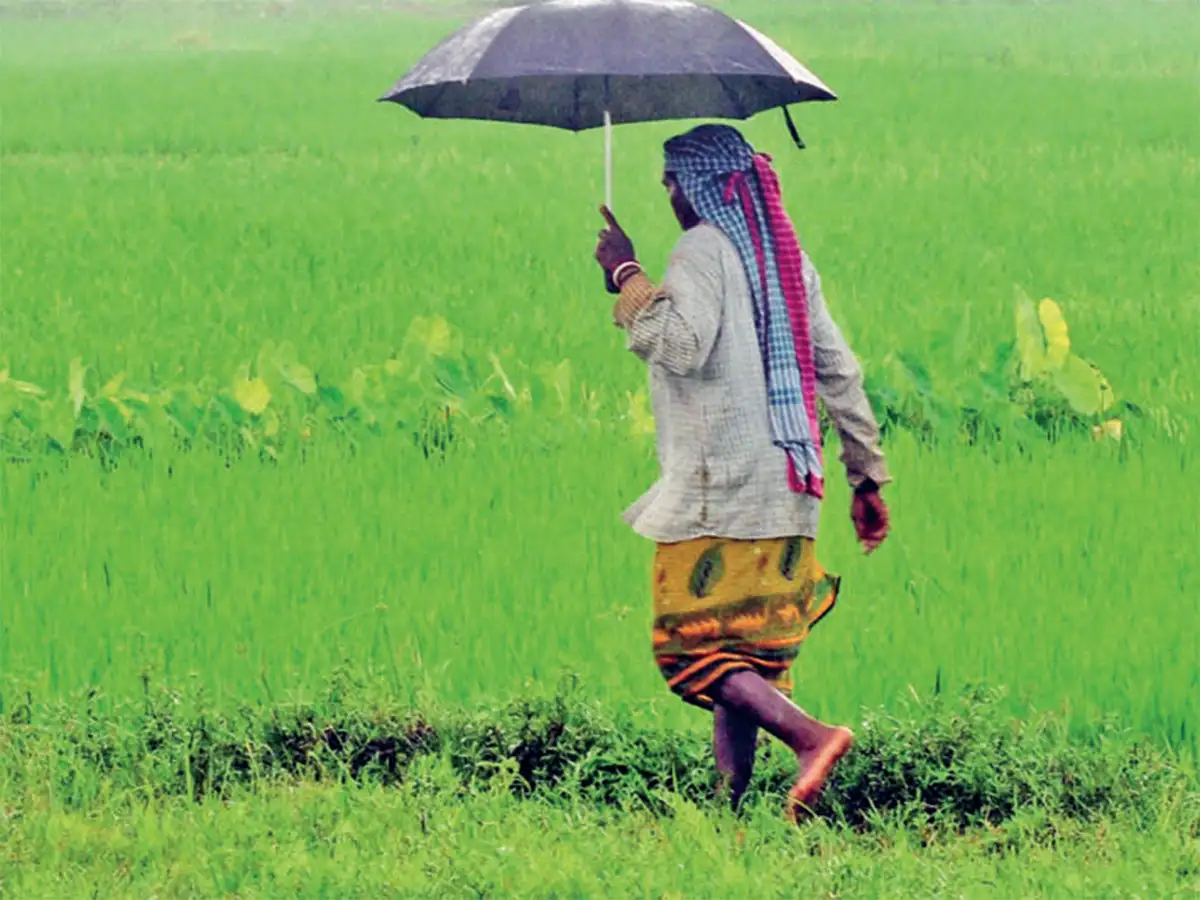 India above-average monsoon rains next