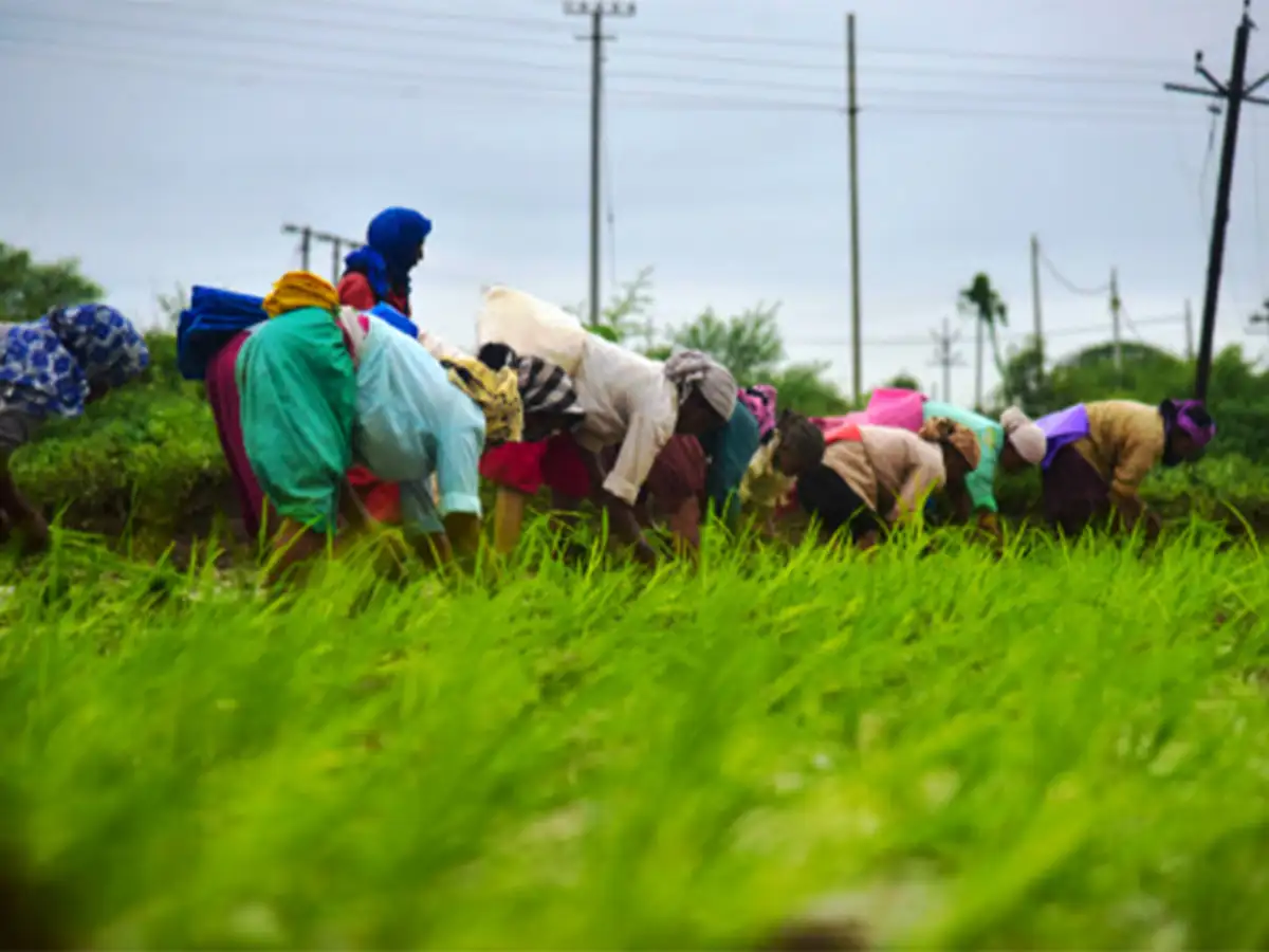 Flood benefits: this year's monsoon