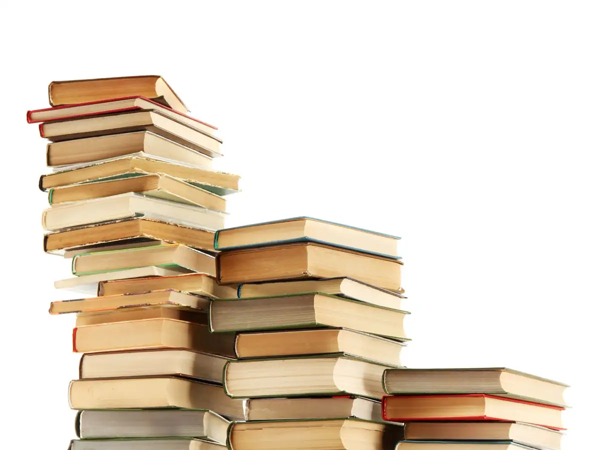 language imposition: revised education policy