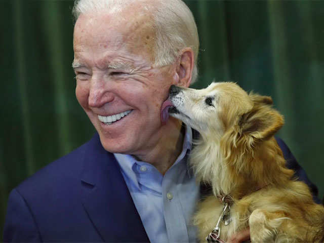 Pets will soon make a return to the White House