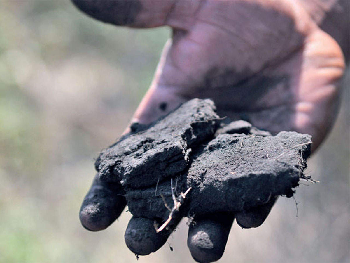 China's coal generation rises, India sees a decline: Study