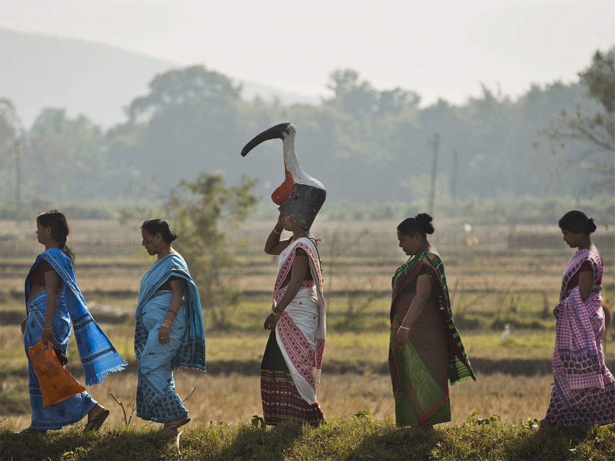 Higher household income, lower education levels determinants of women's labour force participation: Report