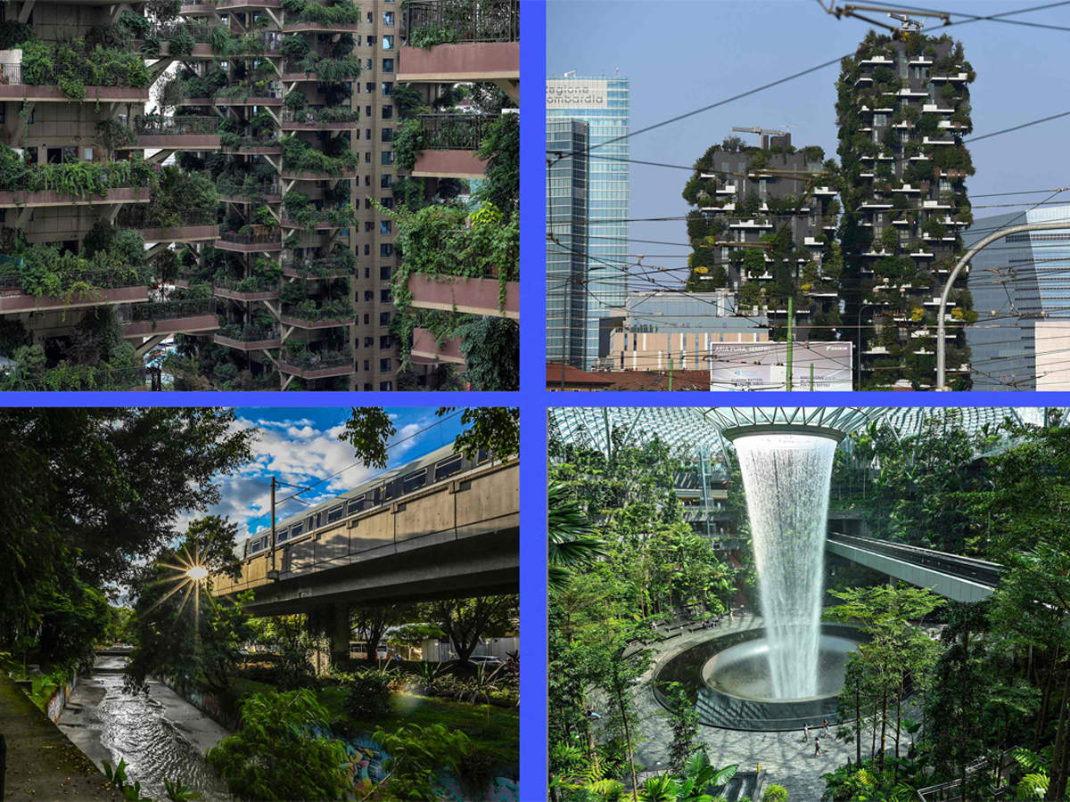 From grey to green: World cities uprooting the urban jungle
